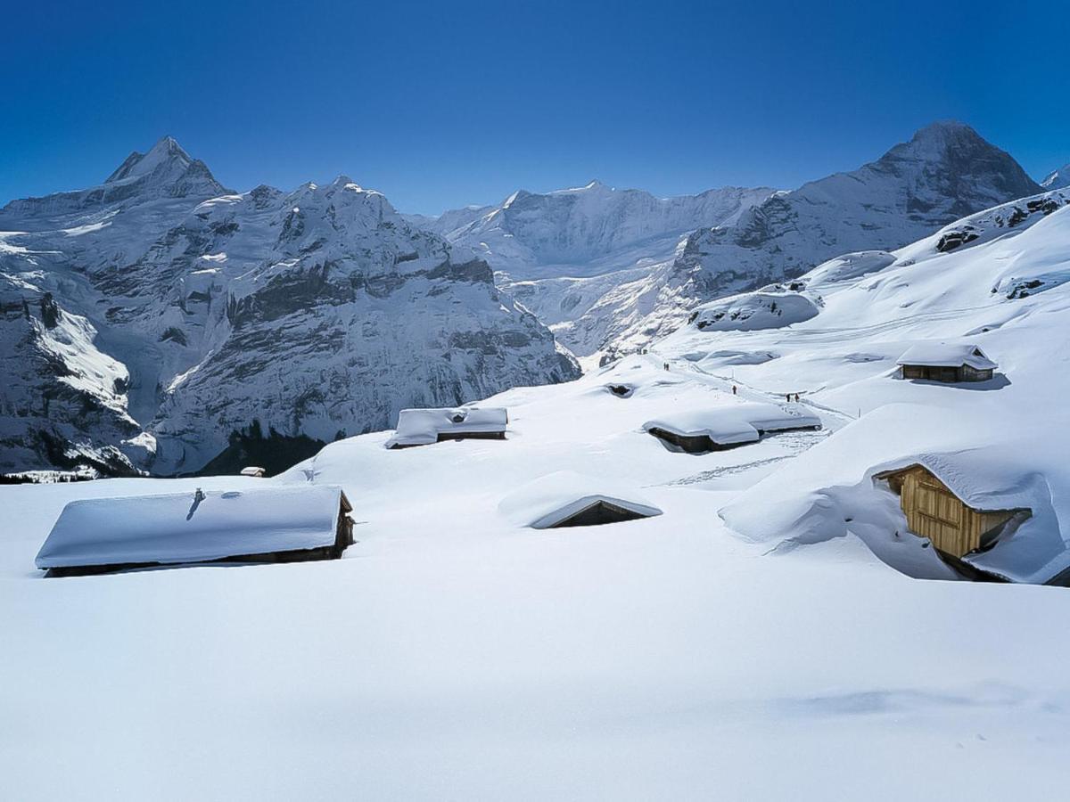 Holiday Home Chalet Reinhysi By Interhome Grindelwald Ngoại thất bức ảnh